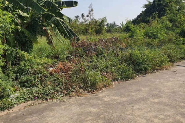 L01905 ที่ดินคลองโยง นครปฐม ( Khlong Yong Land, Nakhon Pathom )